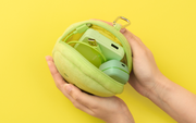 SMISKI Cushion Pouch - Easy Carry