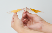 Papillon Origami Airplanes - Fresh Choice