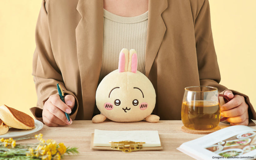 Posture Pal - CHiiKAWA - Display Ready
