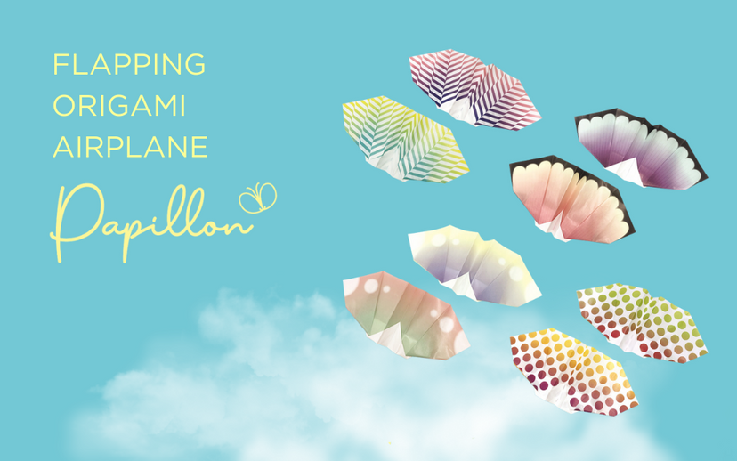 Papillon Origami Airplanes - Fresh Choice